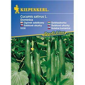 http://www.semena-rostliny.cz/11215-thickbox/okurka-hadov-dominica-semena-okurky.jpg