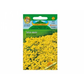 http://www.semena-rostliny.cz/12452-thickbox/alyssum-saxatile-tal-iatka-lll.jpg