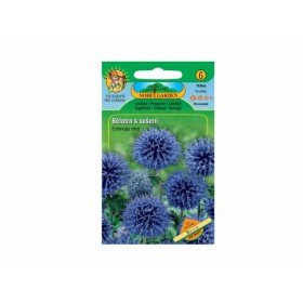http://www.semena-rostliny.cz/18149-thickbox/echinops-ritro-ba-lotrn-mo.jpg