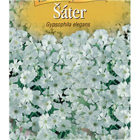 http://www.semena-rostliny.cz/22467-thickbox/gypsophila-eleg-l-ter-b.jpg