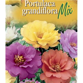 http://www.semena-rostliny.cz/22587-thickbox/portulaca-grand-l-rucha-pln-sm.jpg
