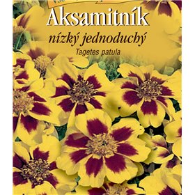 http://www.semena-rostliny.cz/22619-thickbox/tagetes-pat-aks-je-lll-hn.jpg