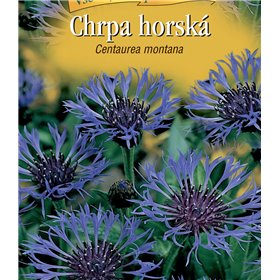 http://www.semena-rostliny.cz/22819-thickbox/centaurea-montan-chrpa-mo-fi.jpg