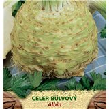 Celer bulvový ALBIN