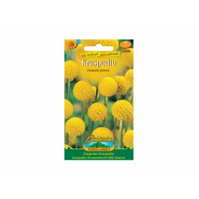 http://www.semena-rostliny.cz/23704-thickbox/craspedia-globosa-kraspedie-ll.jpg
