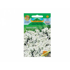 http://www.semena-rostliny.cz/23855-thickbox/arabis-alpina-husen-k-alp.jpg