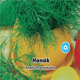 Kopr vonný - Hanák - semena 3 g