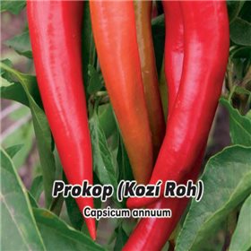 Paprika zeleninová - Prokop - semena 0,6 g