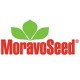 Moravo Seed