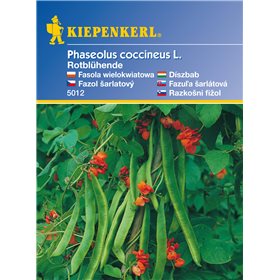 https://www.semena-rostliny.cz/11096-thickbox/fazole-ndhern-erven-kvetouc-semena-fazole.jpg