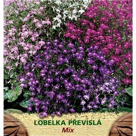 https://www.semena-rostliny.cz/23126-thickbox/lobelia-pen-lobelka-pl-sm.jpg