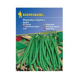 https://www.semena-rostliny.cz/26682-thickbox/kekov-fazole-negra-semena-fazole-bio.jpg